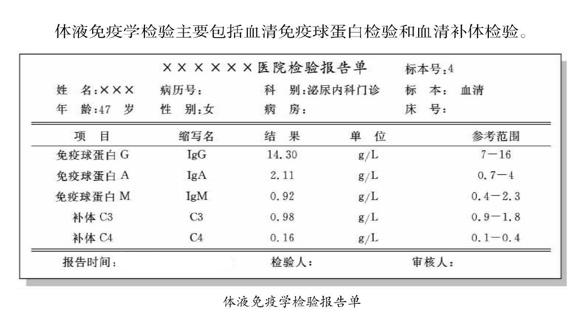 免疫球蛋白化验单图片